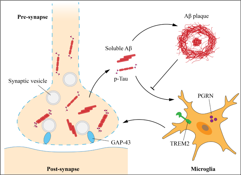 图片3.png 图片3.png